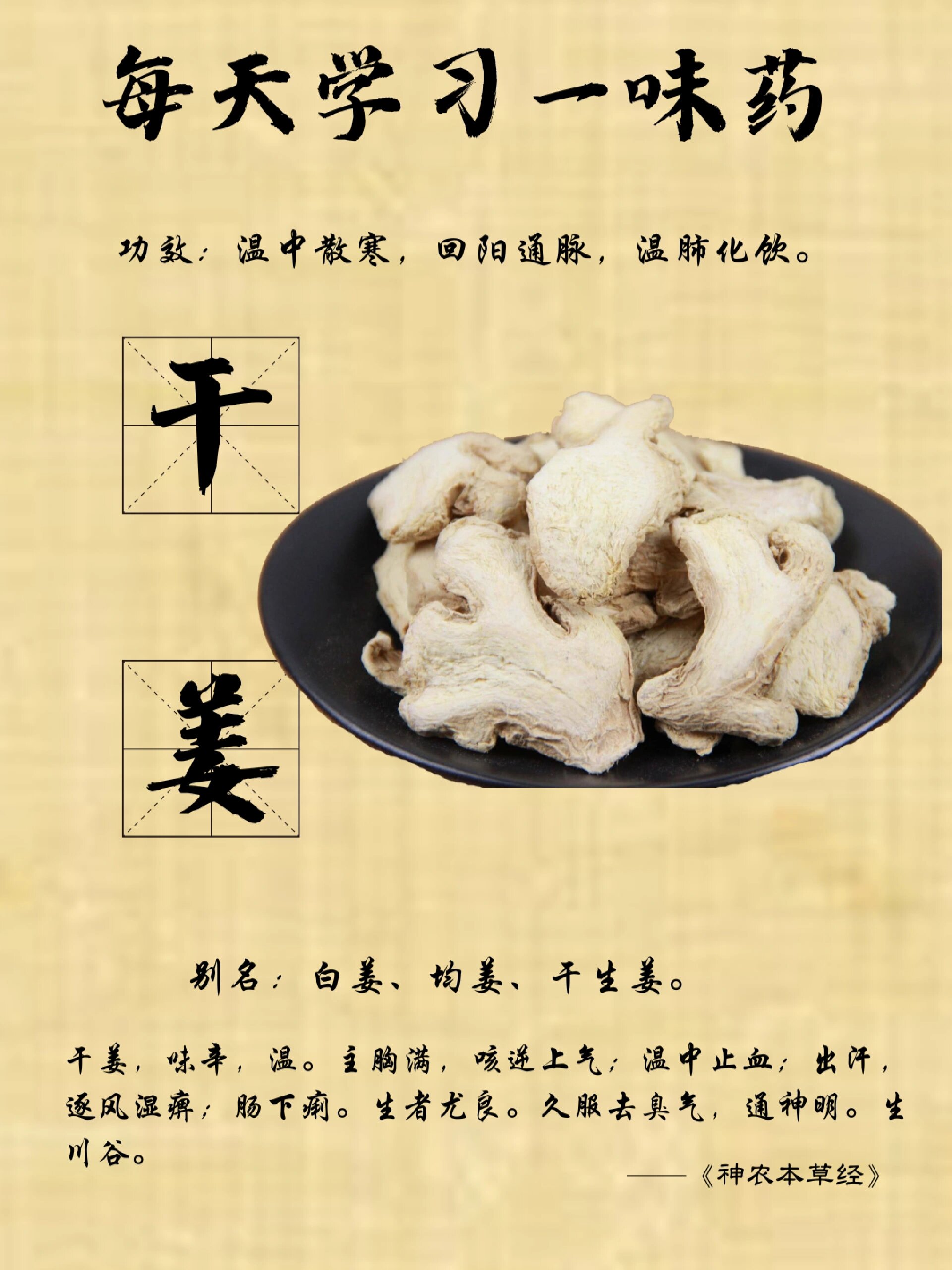 姜片泡水喝有什么好处与坏处(姜片泡水喝有什么好处与坏处吗)