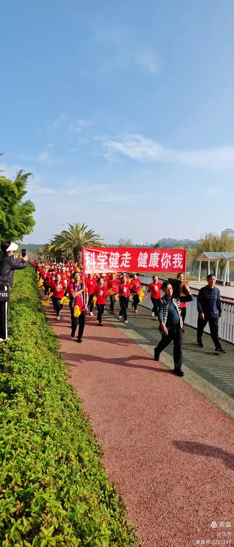 健(健脾丸的作用与功效)