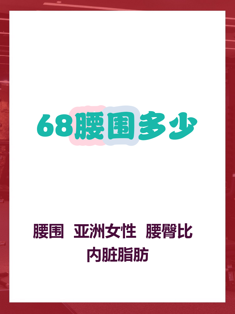 标准的腰围应该是(标准的腰围是身高的多少)