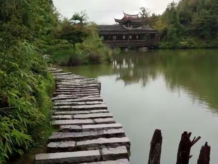 南方佳木(南方佳木参天楠)