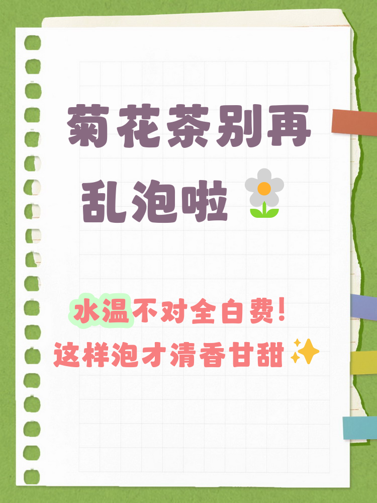 菊花一次泡几朵最好(三种人不能喝菊花枸杞)
