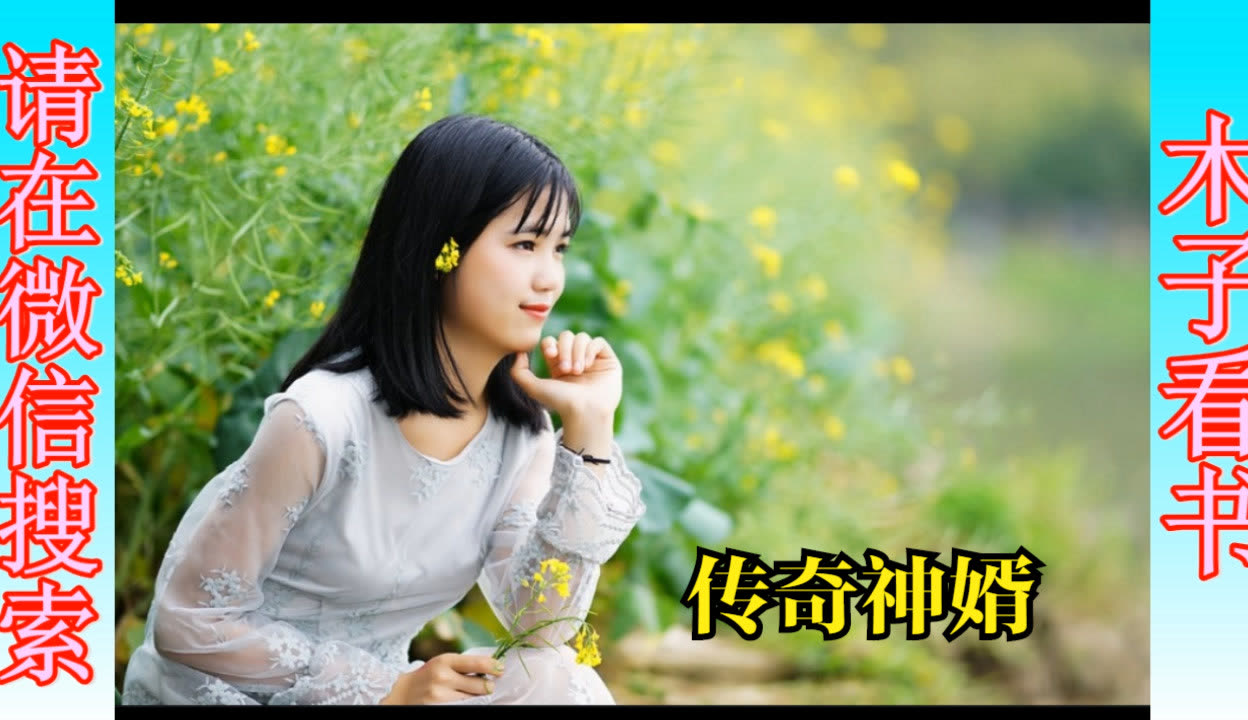 叶昊郑漫儿哪里更新快(叶昊郑漫儿怎么两天了没更新)