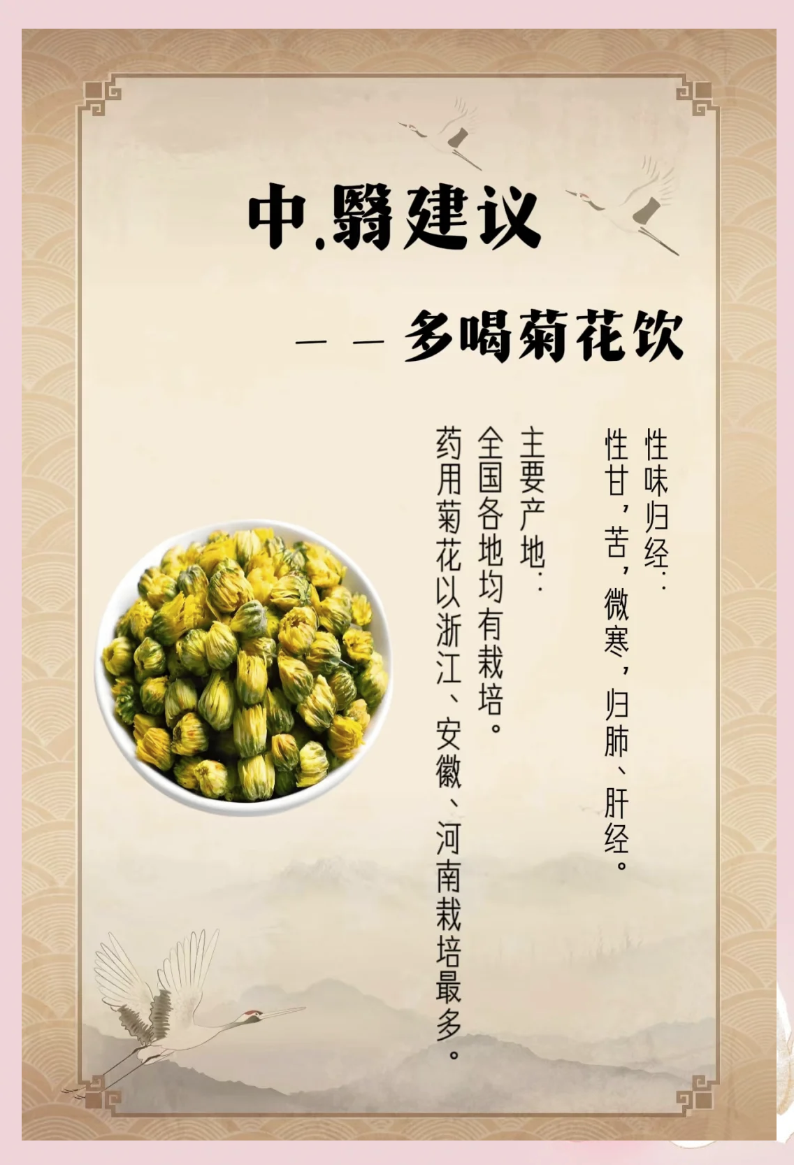 雪菊花茶的功效与禁忌(雪菊花泡水喝的功效与作用) 雪菊花茶的功效与禁忌(雪菊花泡水喝的功效与作用)