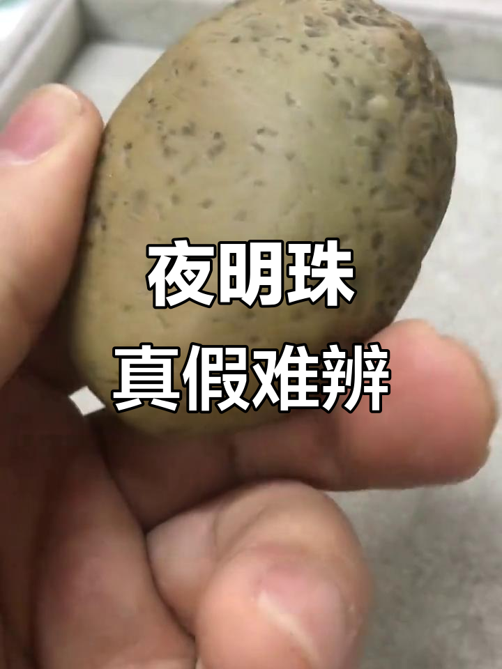 真假夜明珠(真假夜明珠民间故事)