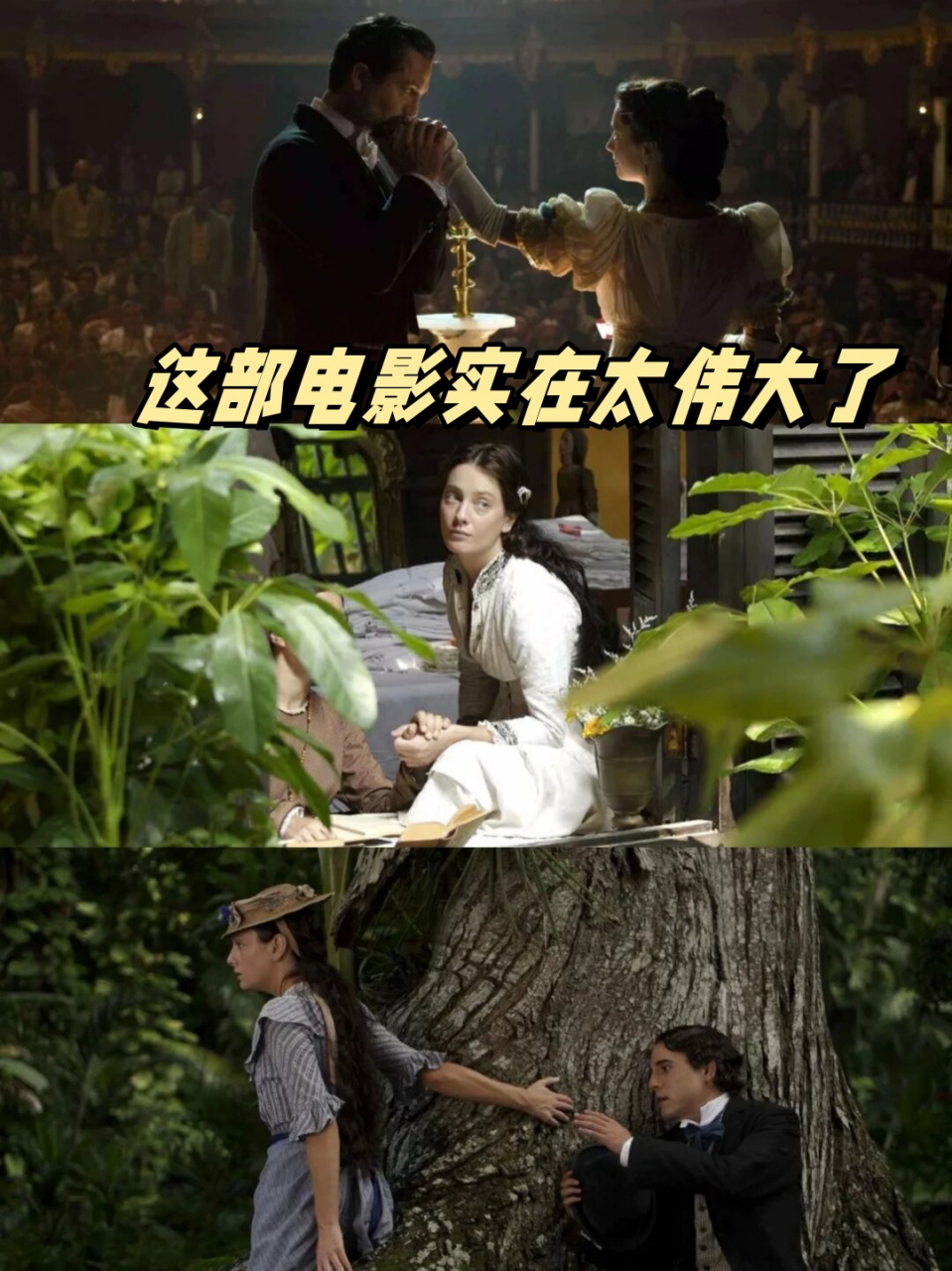 霍乱时期的爱情讲的是什么(霍乱时期的爱情具体讲了什么)