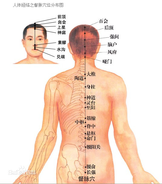 任督二脉在哪(任督二脉穴位图)