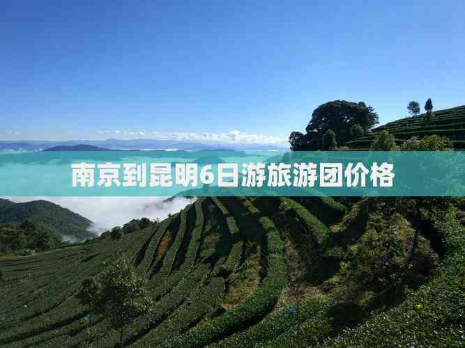 昆明旅游团(昆明旅游团公司)