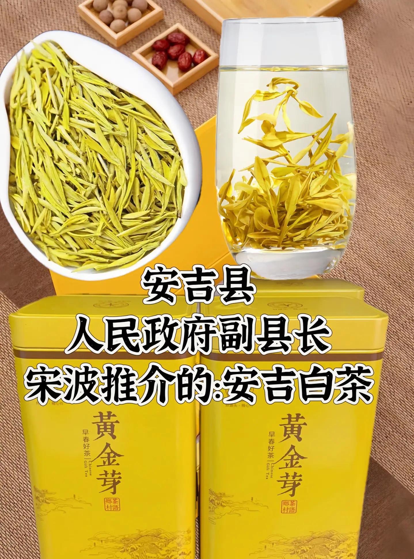 安吉白茶是哪里产的(安吉白茶是哪儿的产地)