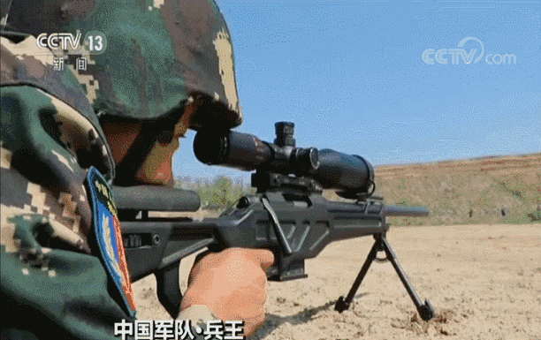 无敌狙击兵王(无敌狙击兵王李仁杰)