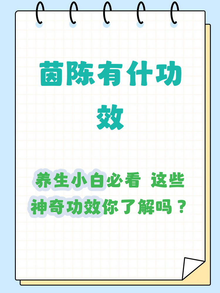 喝茵陈茶的好处与坏处(喝茵陈茶的好处与坏处有哪些)
