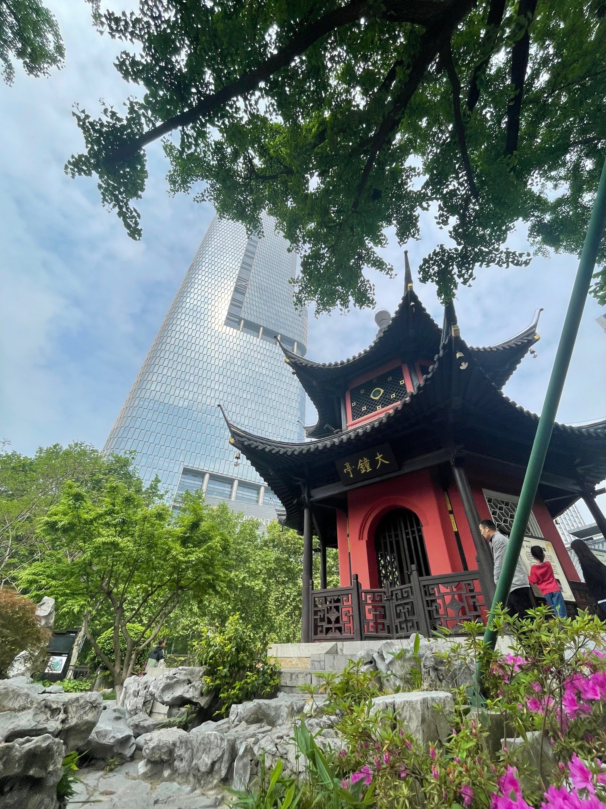 亭(亭亭如盖是什么意思)
