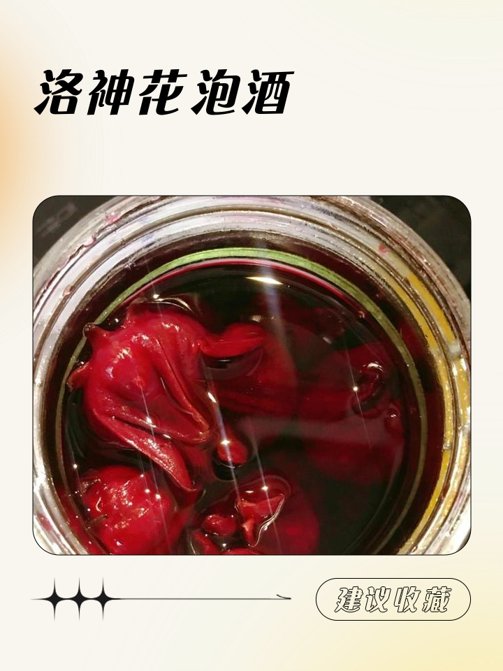 洛神花什么人不能喝(洛神花不适合什么人喝) 洛神花什么人不能喝(洛神花不适合什么人喝)