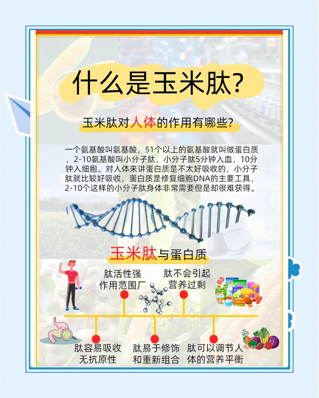 关于小分子肽为什么被国家叫停的信息