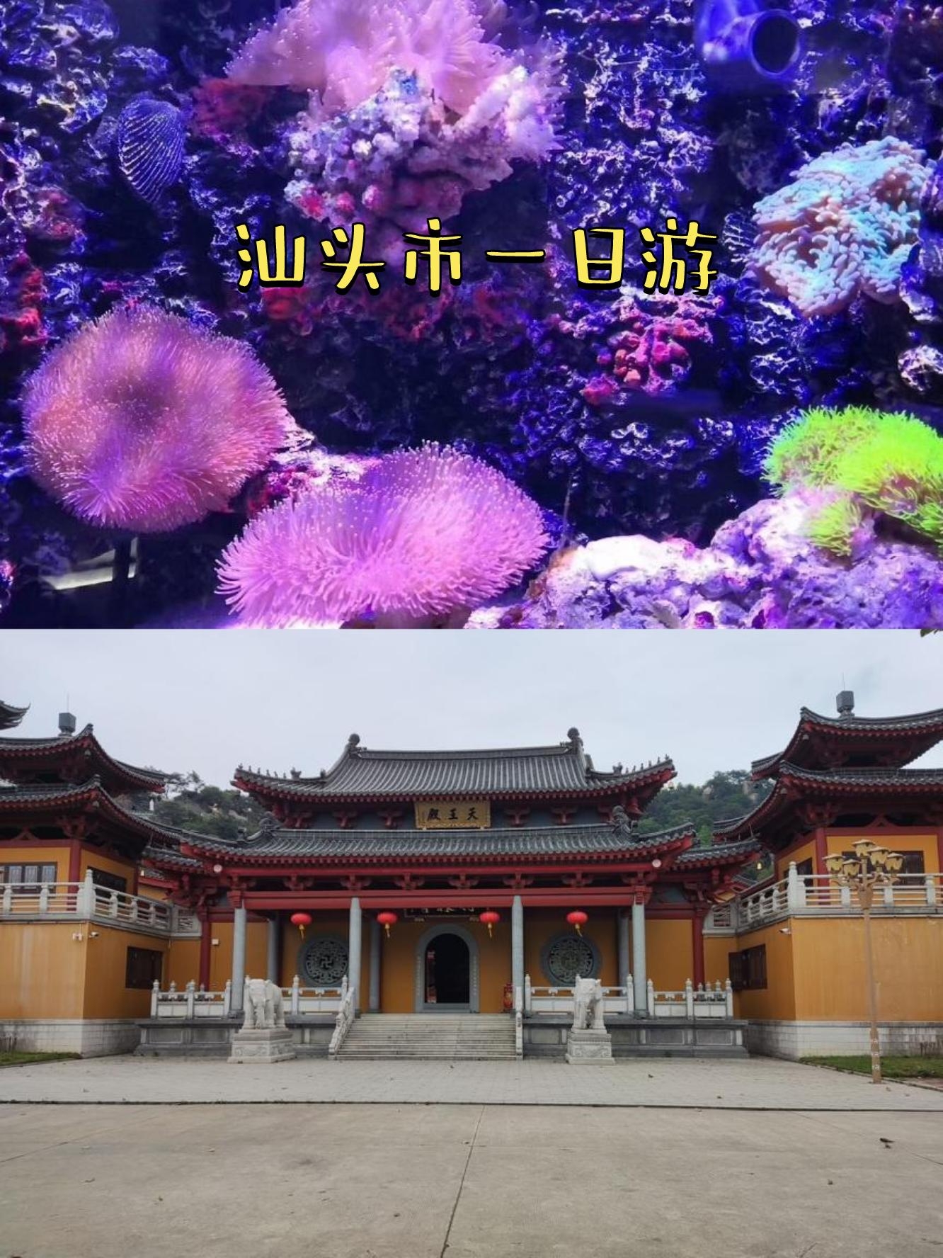 汕头八大景点(汕头八大景点名称)