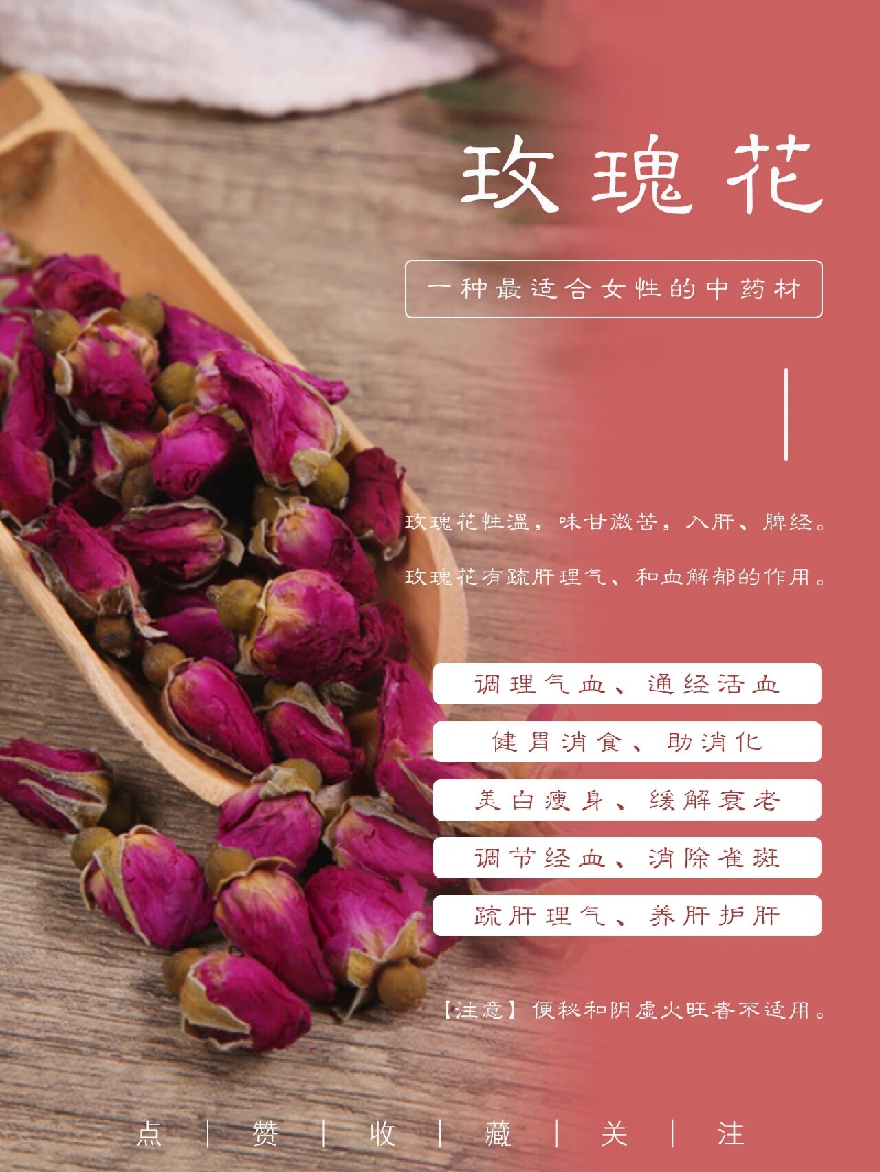 玫瑰花茶是凉性还是热性(玫瑰花茶是温性还是凉性的)