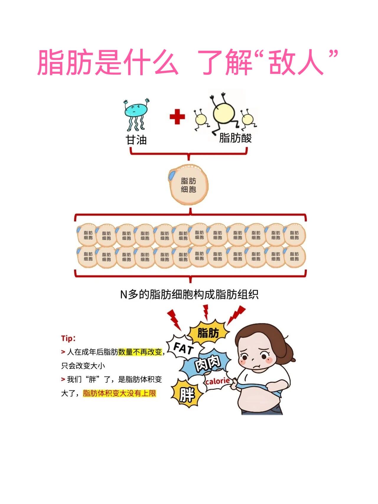 脂的拼音(脂的拼音是什么) 脂的拼音(脂的拼音是什么)