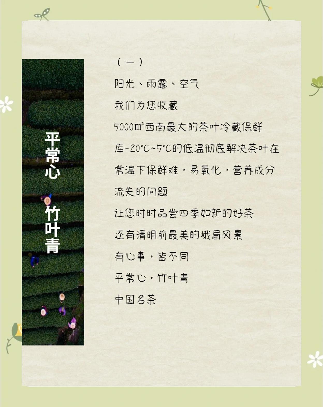 竹叶青的功效与作用(竹叶青的功效与作用是什么)