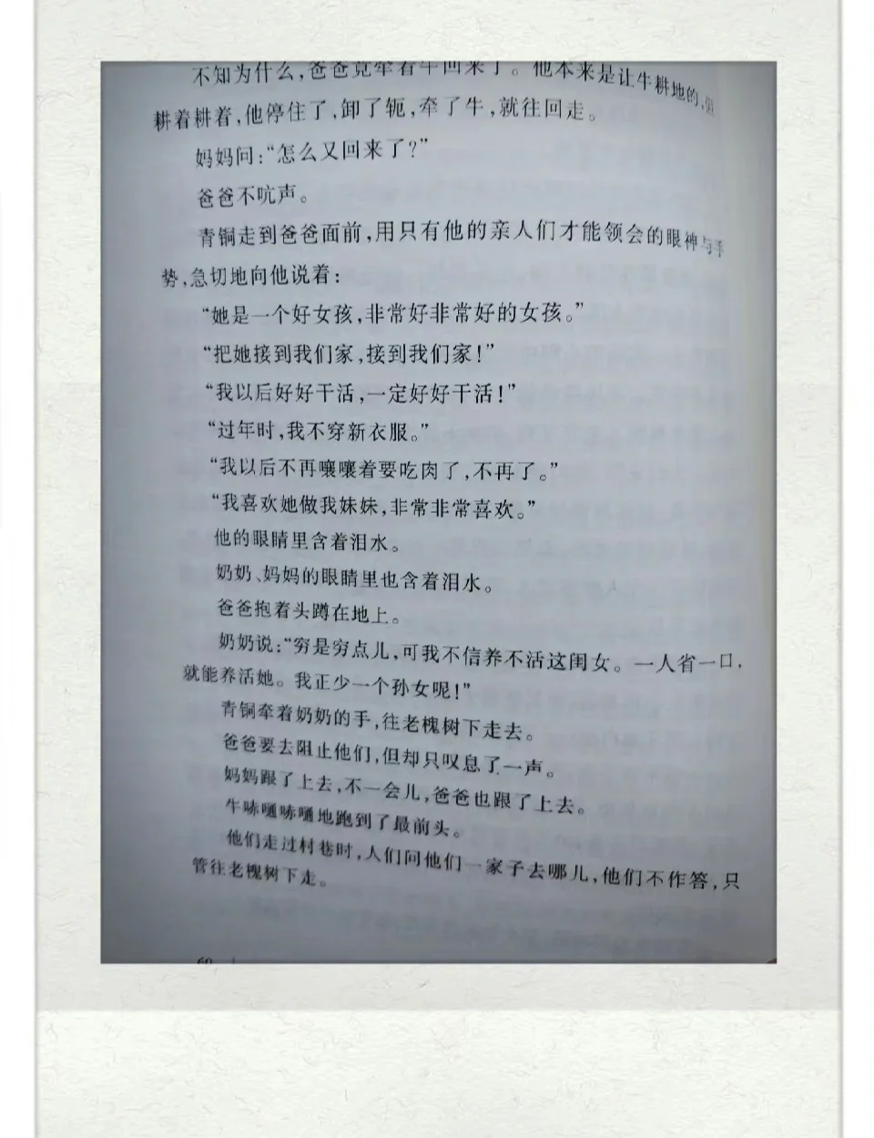 青铜葵花好词(青铜葵花好词好句摘抄及感悟)