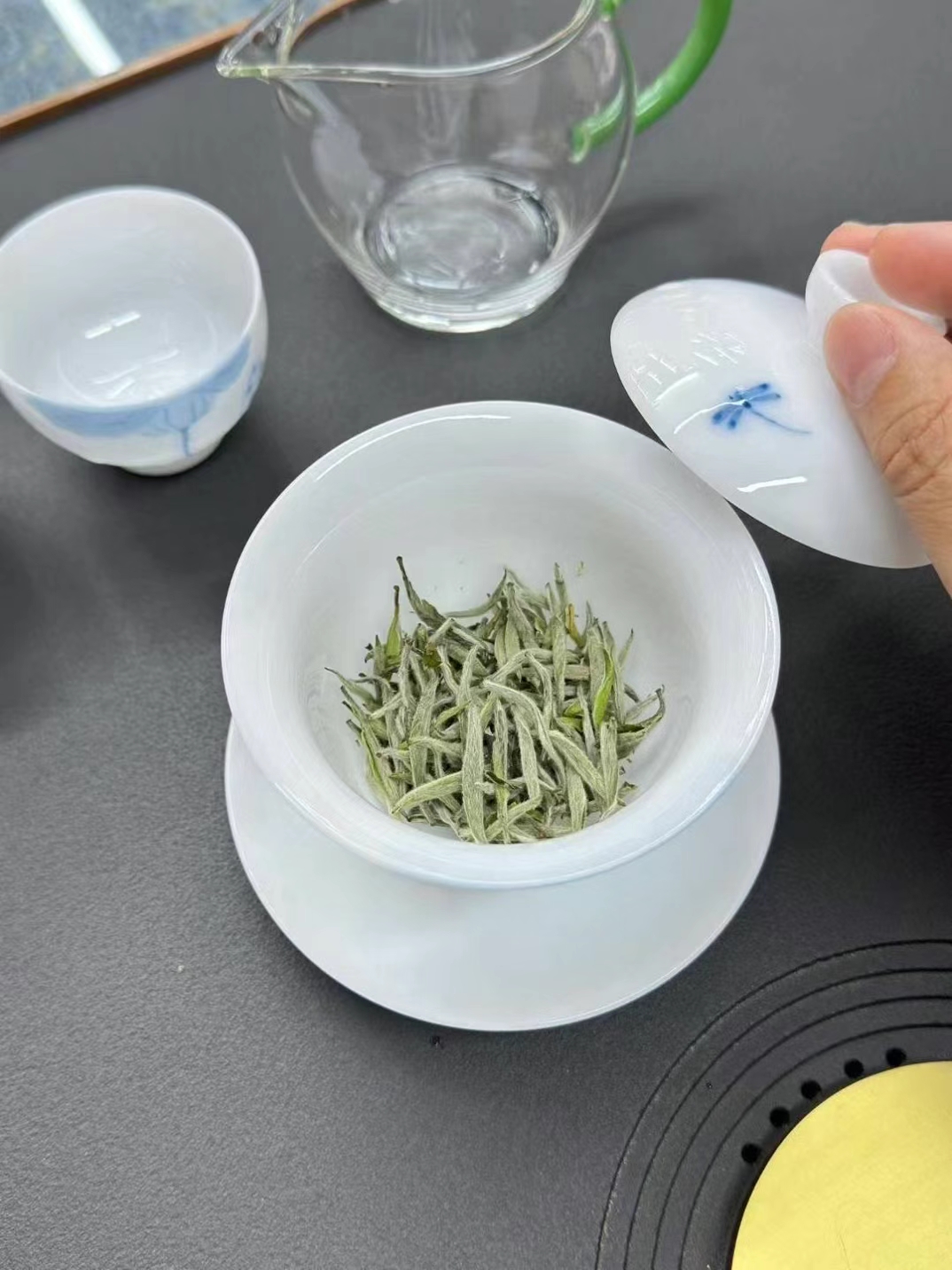 白毫银针多少钱一斤(政和白毫银针多少钱一斤)