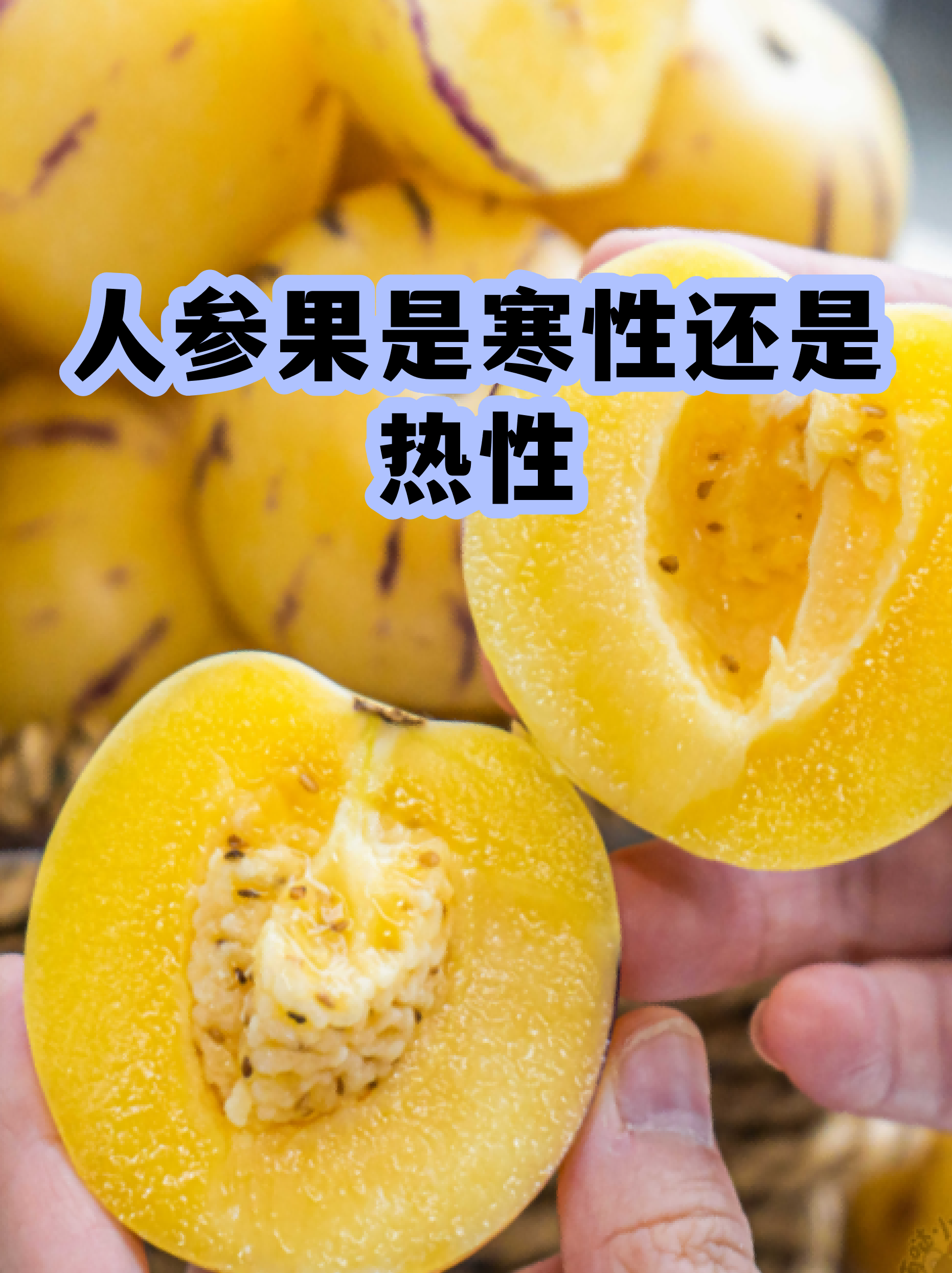人参果是热性还是凉性(人参果是热性还是凉性 上火吗)