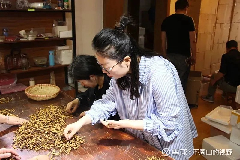 野生虫草多少钱一斤(人工虫草和野生虫草的区别图片) 野生虫草多少钱一斤(人工虫草和野生虫草的区别图片)