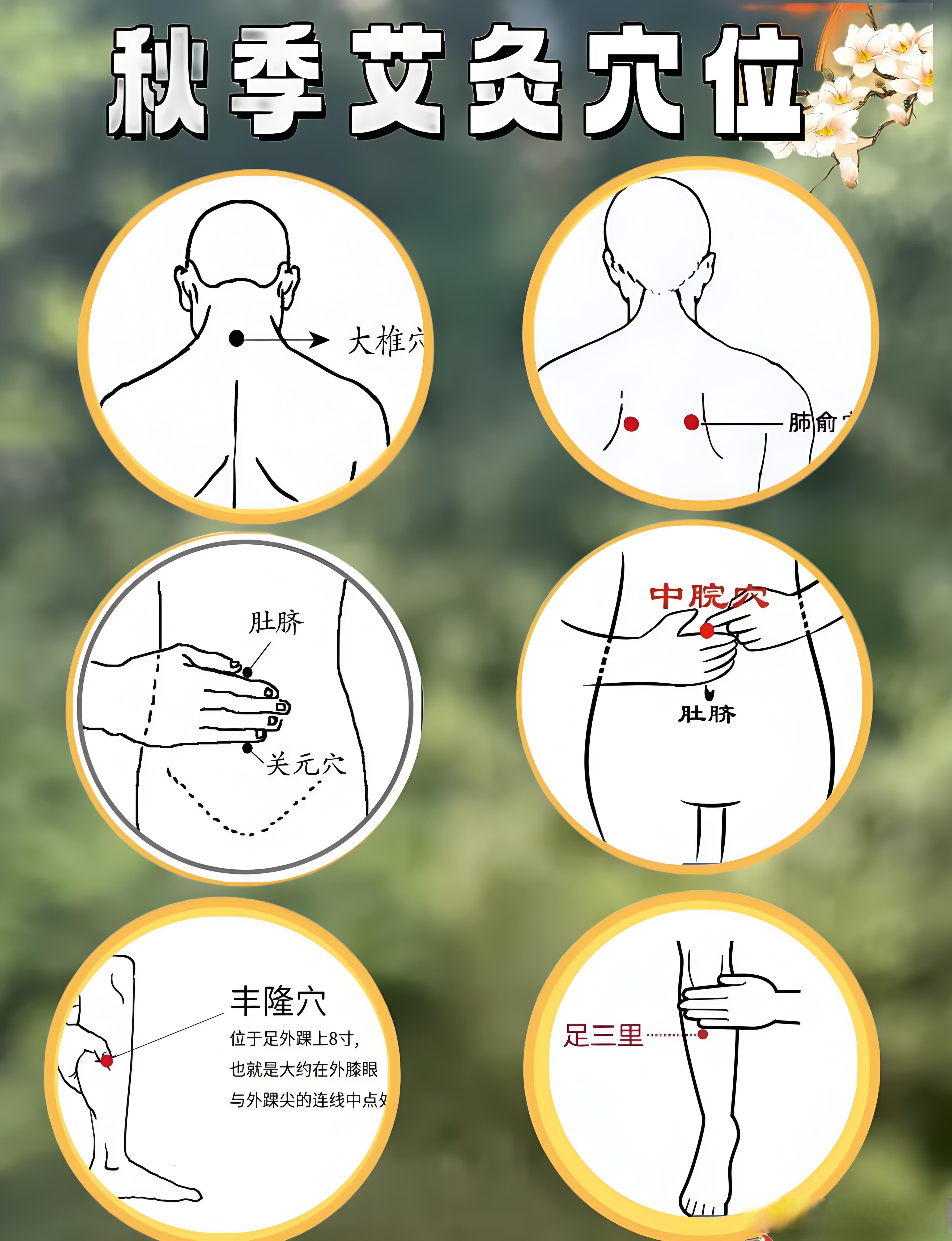 鸦胆子外敷的正确用法(鸦胆子外敷的正确用法是) 鸦胆子外敷的正确用法(鸦胆子外敷的正确用法是)