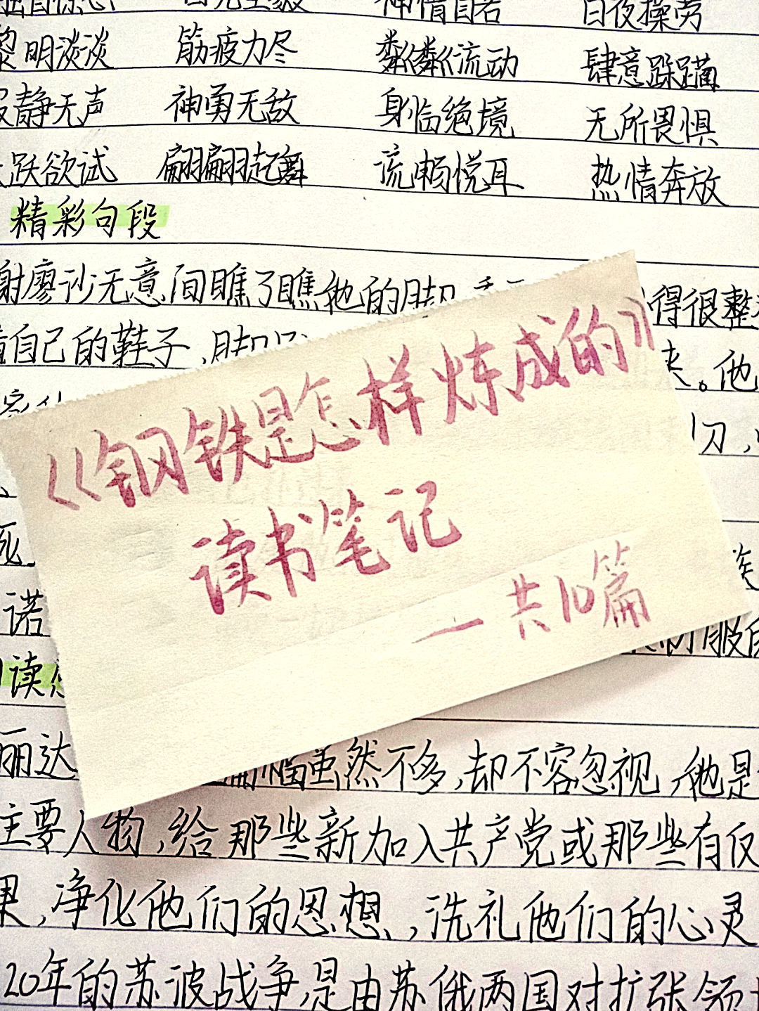 钢铁是怎样炼成的第一章读书笔记(钢铁是怎样炼成第一章读书笔记摘抄及感悟)