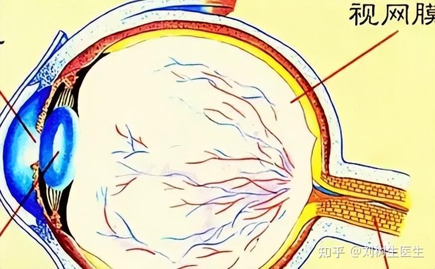 关于性生活视颊的信息