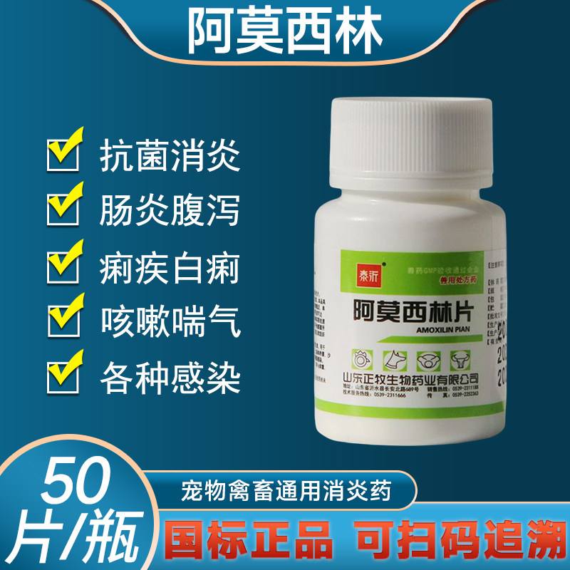 消炎药有哪些(消炎药有哪些常用药)