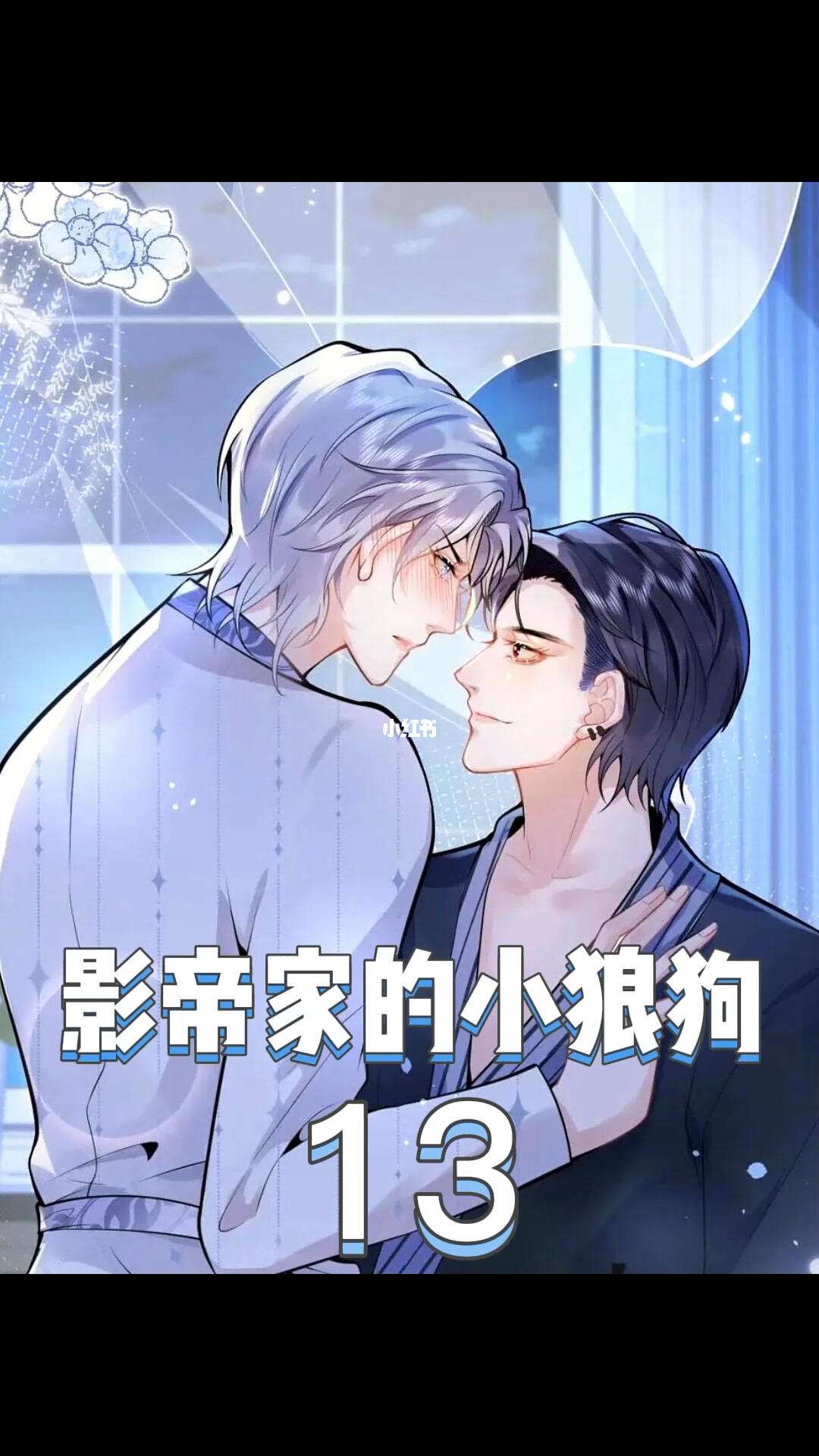影帝家的小狼狗全文免费阅读小说(影帝家的小狼狗全文免费阅读小说下载)