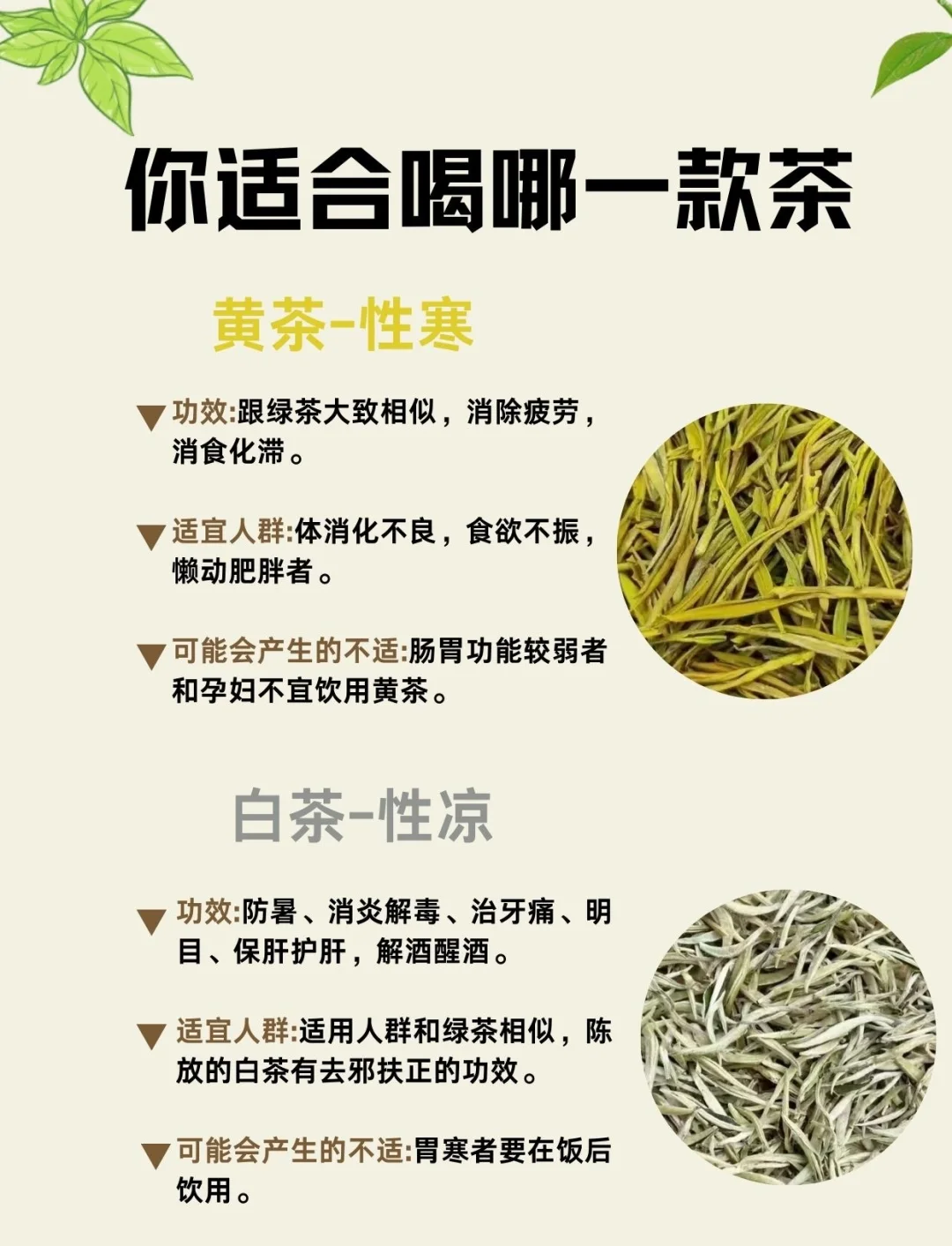 茶叶的种类和功效(茶叶的种类和功效与作用)