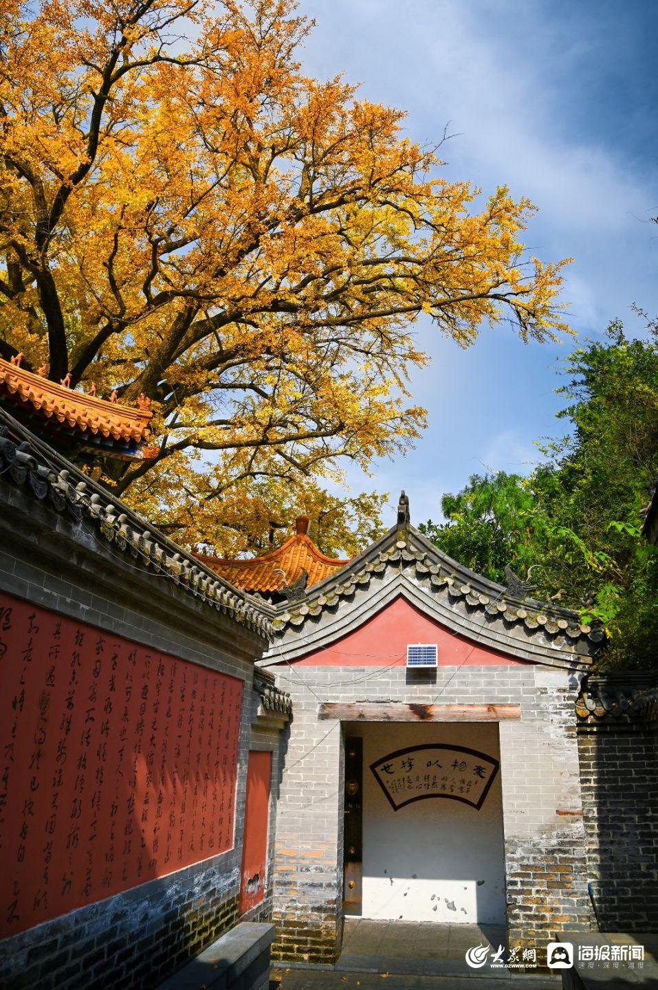 淌豆寺(淌豆寺怎么读)