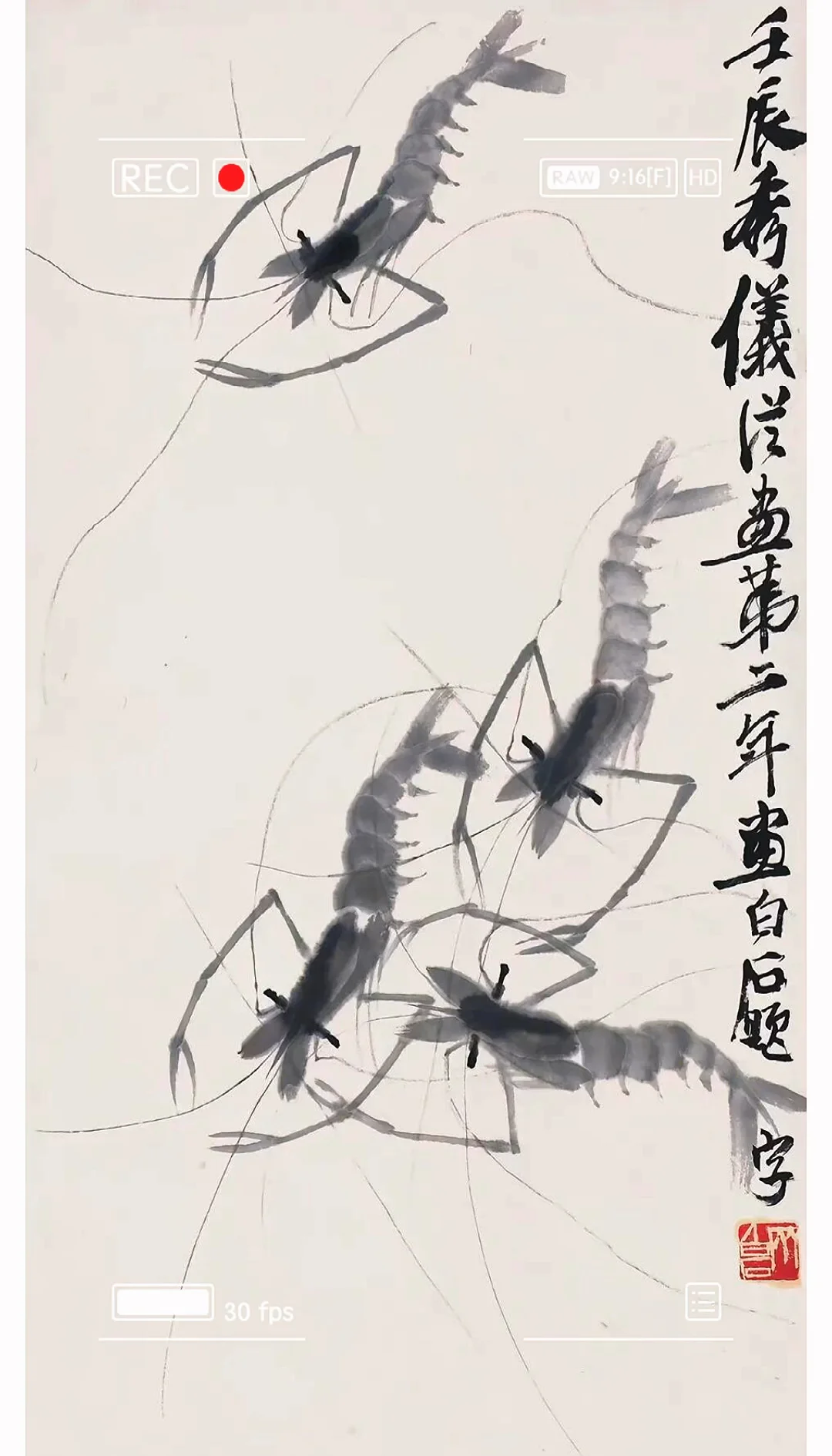 齐白石《虾》赏析(齐白石的虾展现了什么意境) 齐白石《虾》赏析(齐白石的虾展现了什么意境)