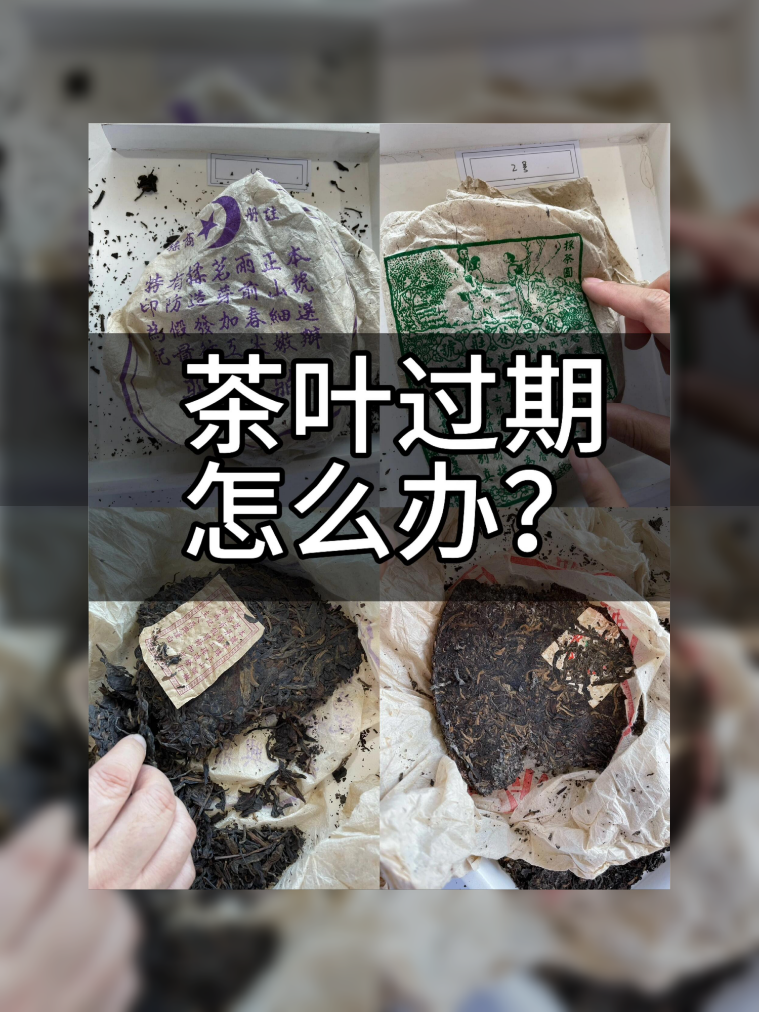 茶叶过期5年了但没开封(茶叶过期8年没开封还能喝吗) 茶叶过期5年了但没开封(茶叶过期8年没开封还能喝吗)