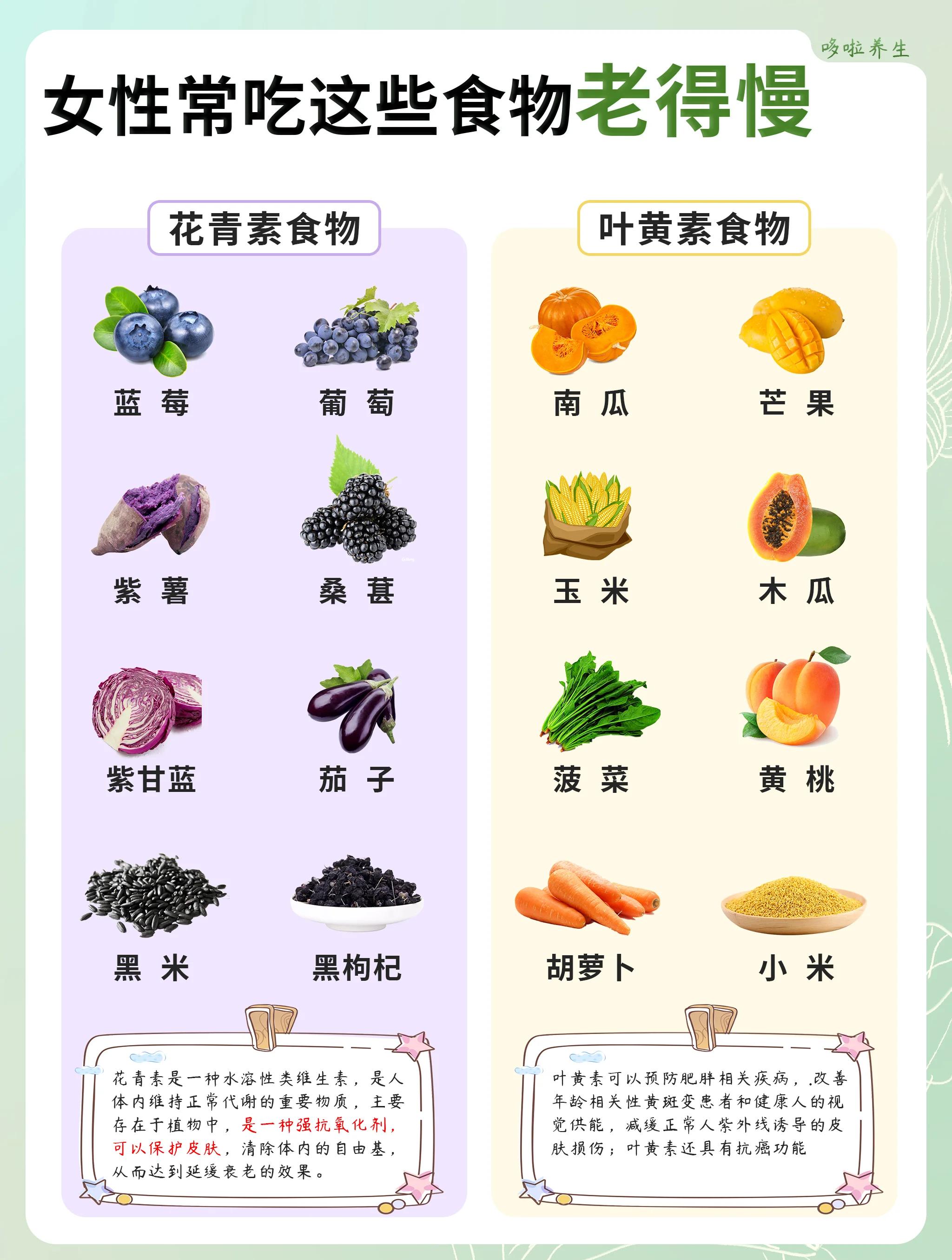 含花青素高的食物排行榜的简单介绍