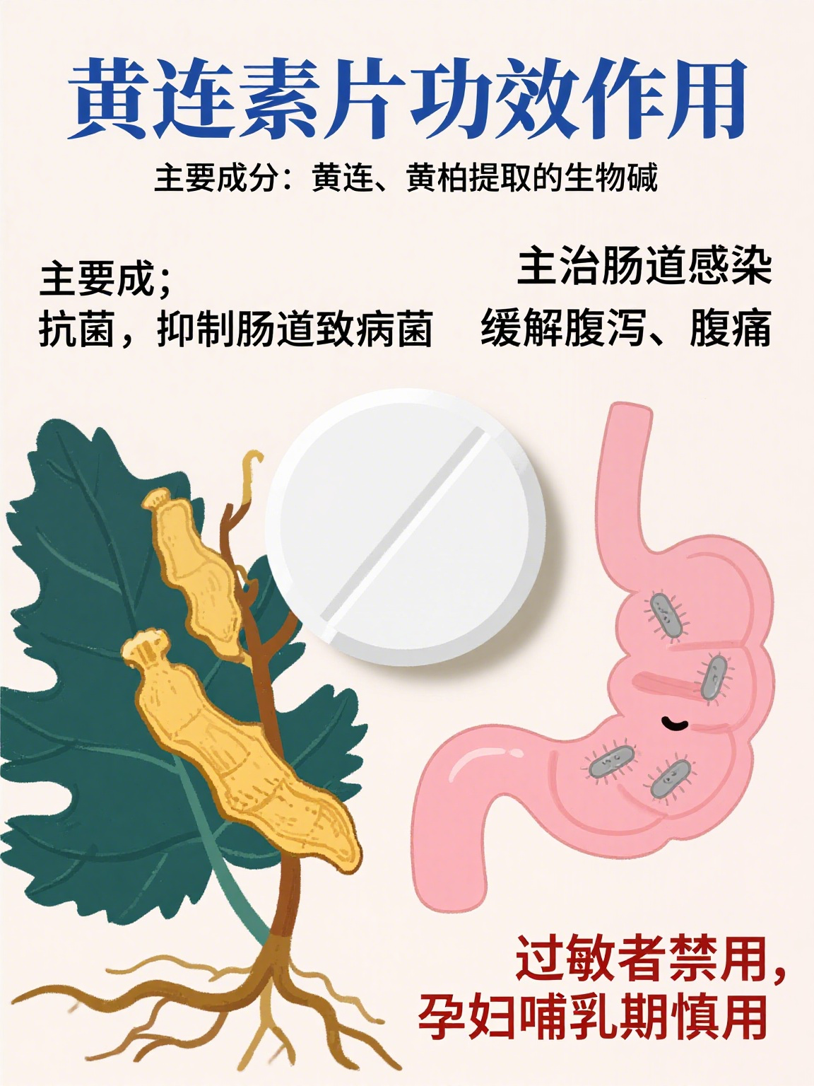 生物碱的功效和作用(生物碱的功效和作用与禁忌)