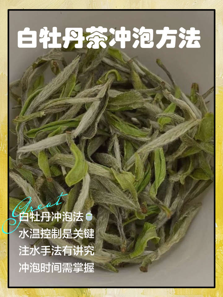 白茶上火吗(经常上火喝什么茶效果好)
