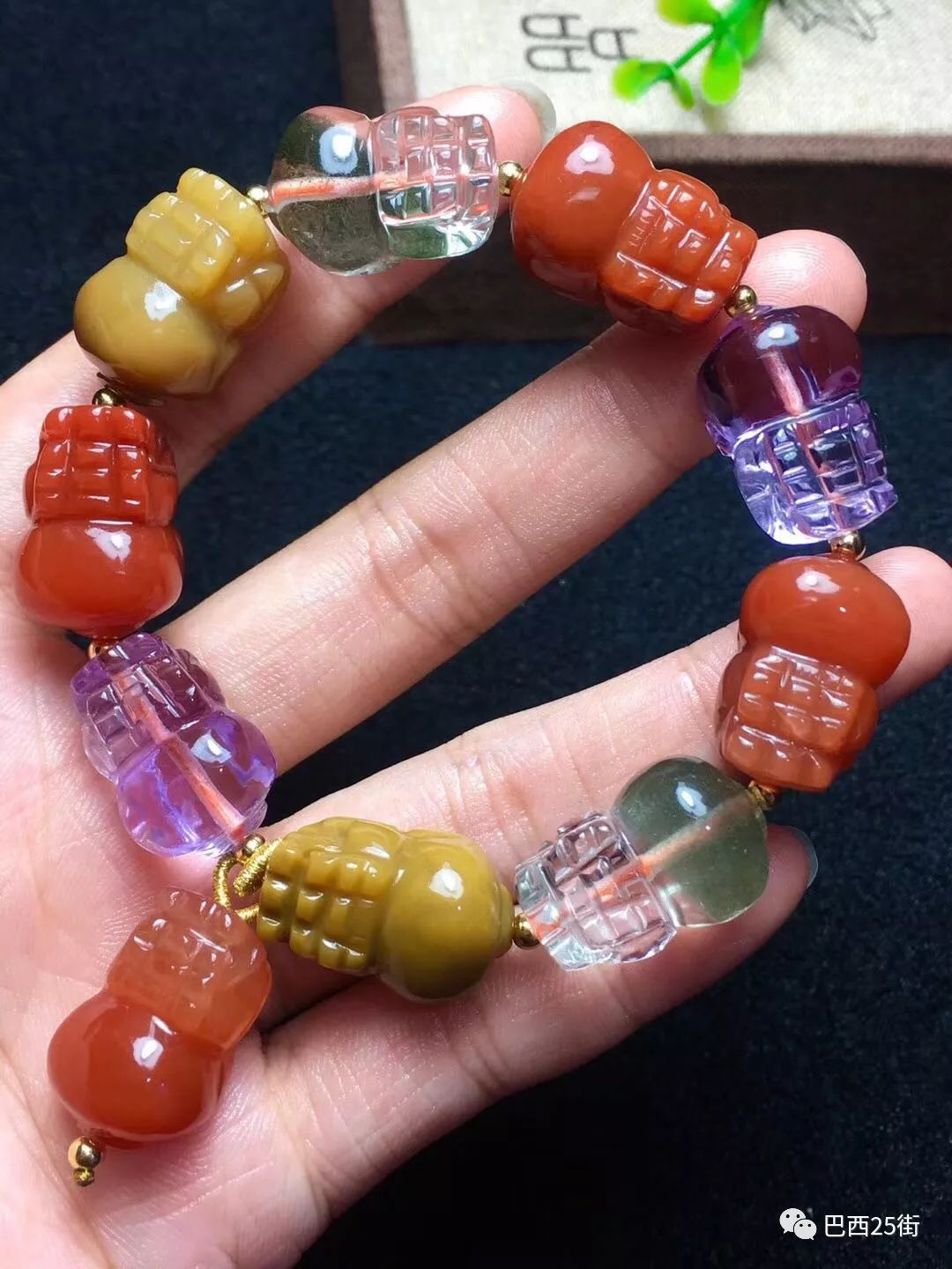巴币(巴西龟是凶龟还是吉龟) 巴币(巴西龟是凶龟还是吉龟)