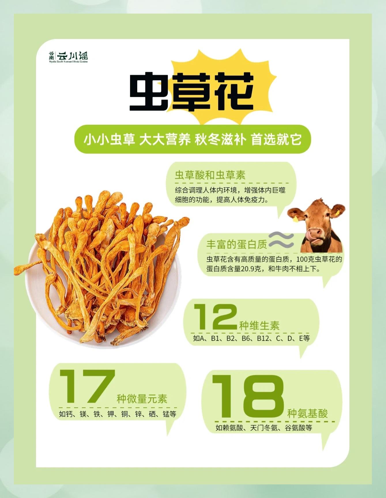 虫草茶的功效与作用(虫草茶的正确饮用方法) 虫草茶的功效与作用(虫草茶的正确饮用方法)