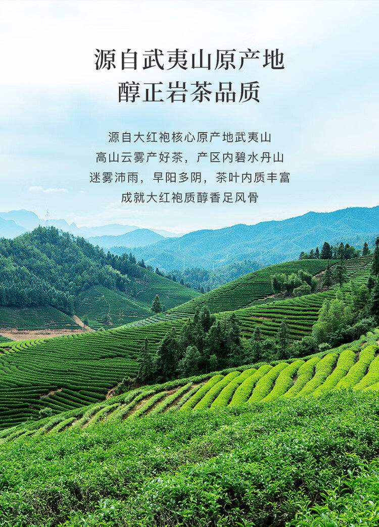 大红袍是哪里产的茶(大红袍是哪个地方的茶) 大红袍是哪里产的茶(大红袍是哪个地方的茶)