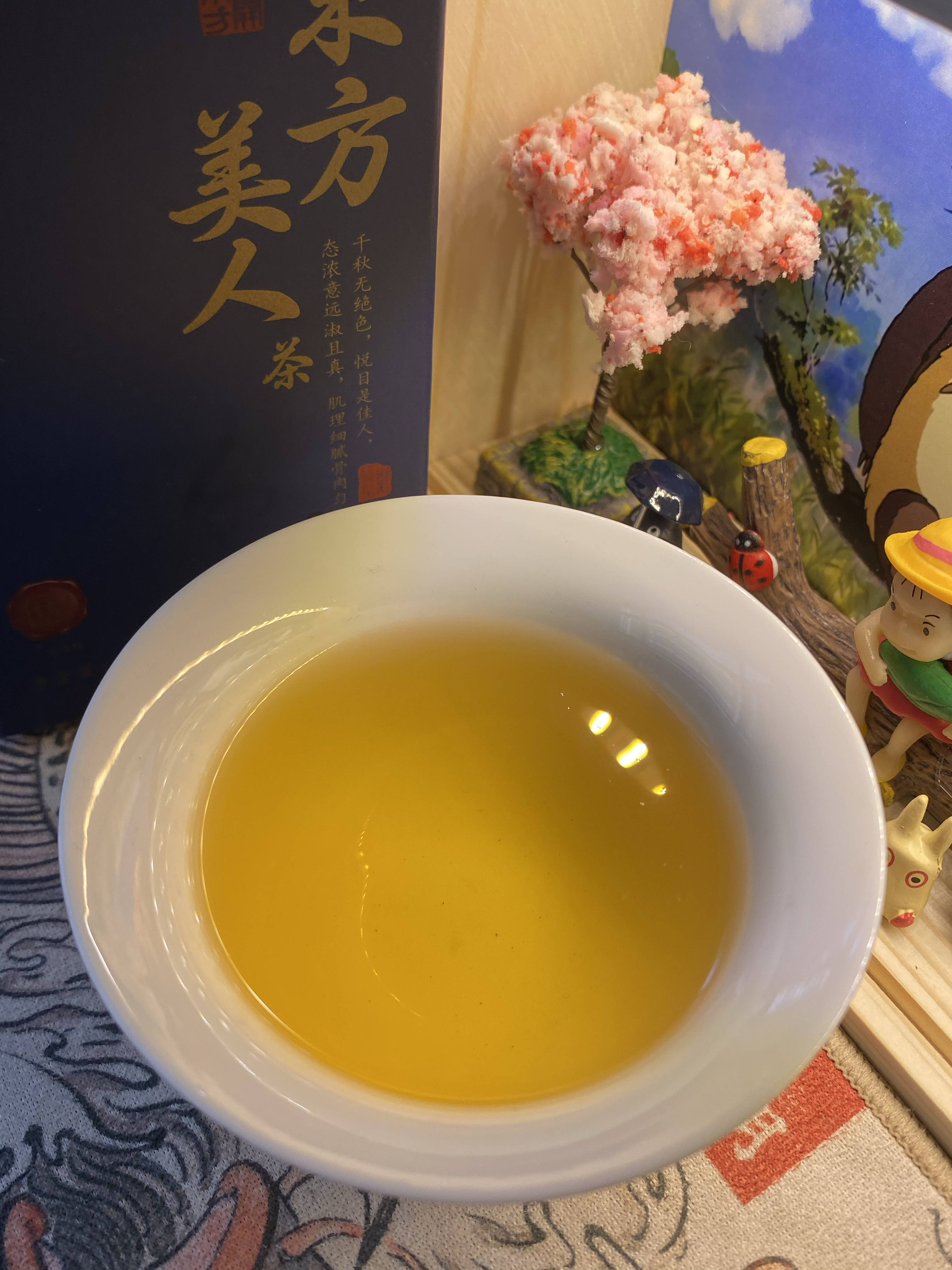 乌龙茶适合什么季节喝(乌龙茶适合什么季节喝?)