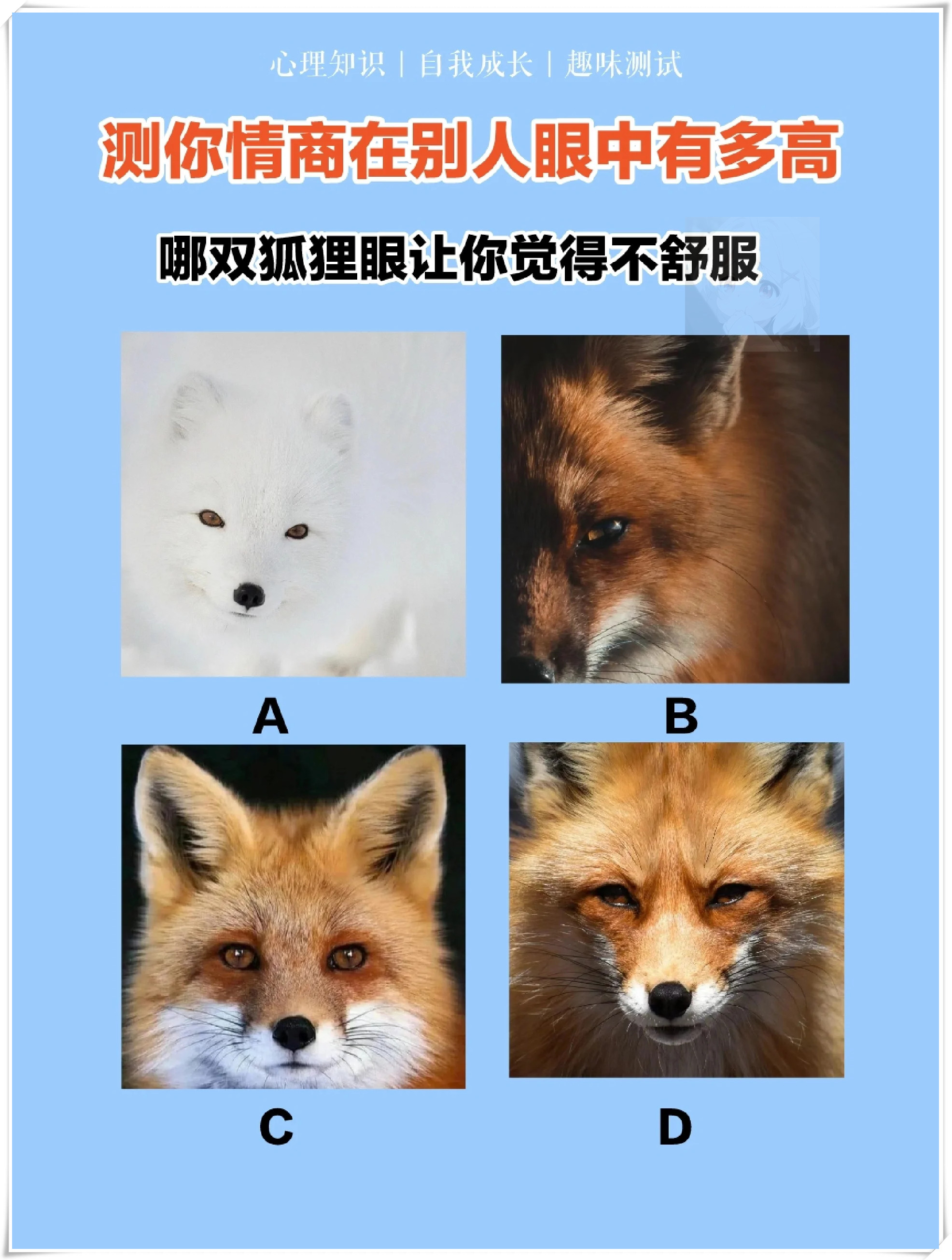 霍霍是什么意思(霍霍是什么意思网络用语) 霍霍是什么意思(霍霍是什么意思网络用语)