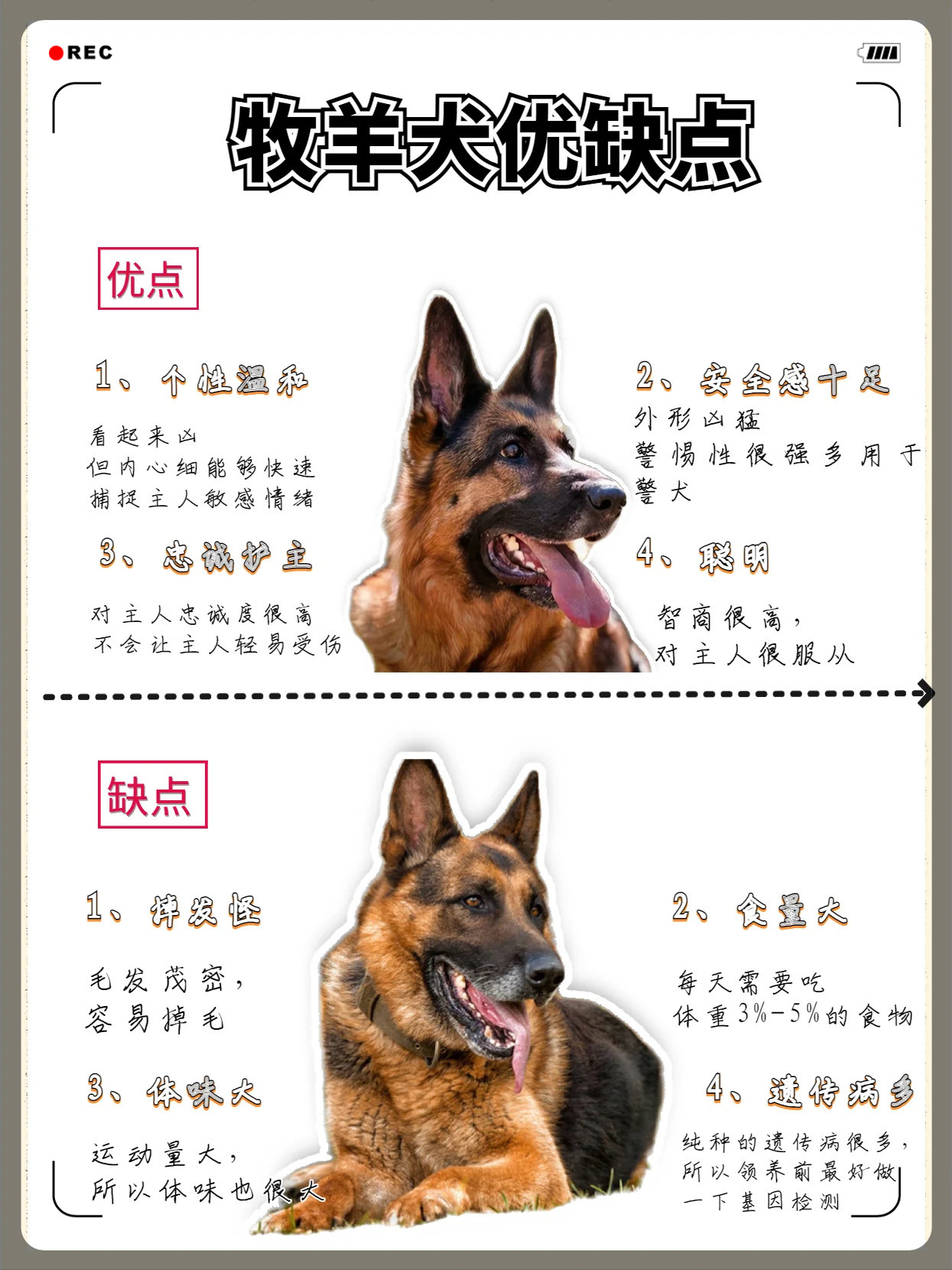 狷介是什么意思(狷介是褒义还是贬义) 狷介是什么意思(狷介是褒义还是贬义)