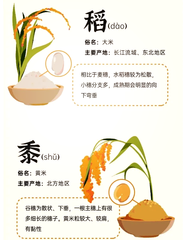 黍怎么读(黍怎么读圃怎么读) 黍怎么读(黍怎么读圃怎么读)