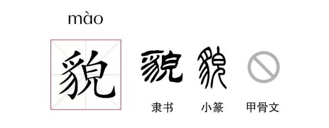 貌怎么读(貌怎么读音)