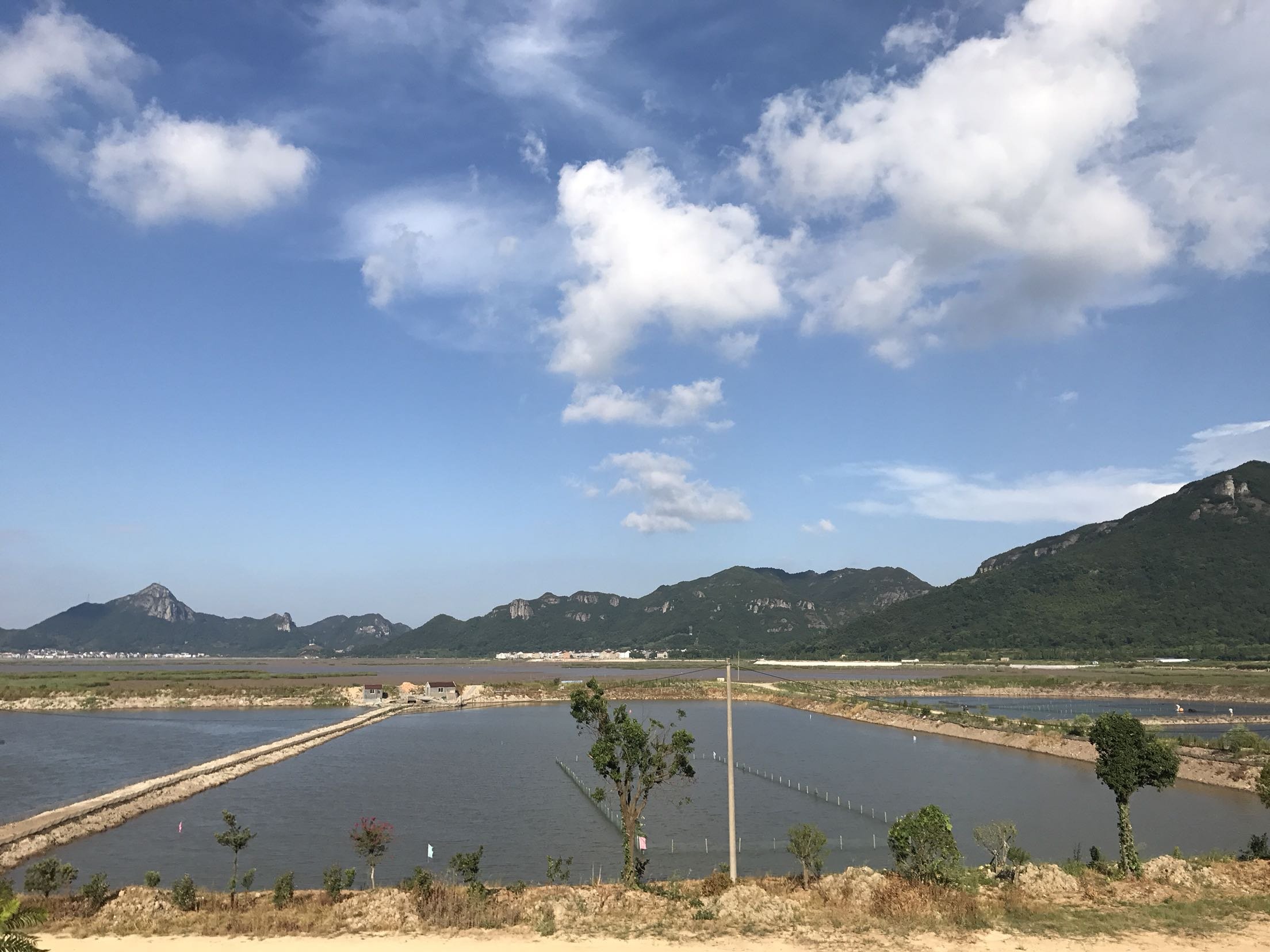 台州天气30天预报(浙江天气预报7天准确)