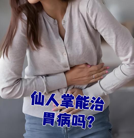 仙人掌治胃病食用方法(仙人掌治胃病食用方法和用量) 仙人掌治胃病食用方法(仙人掌治胃病食用方法和用量)