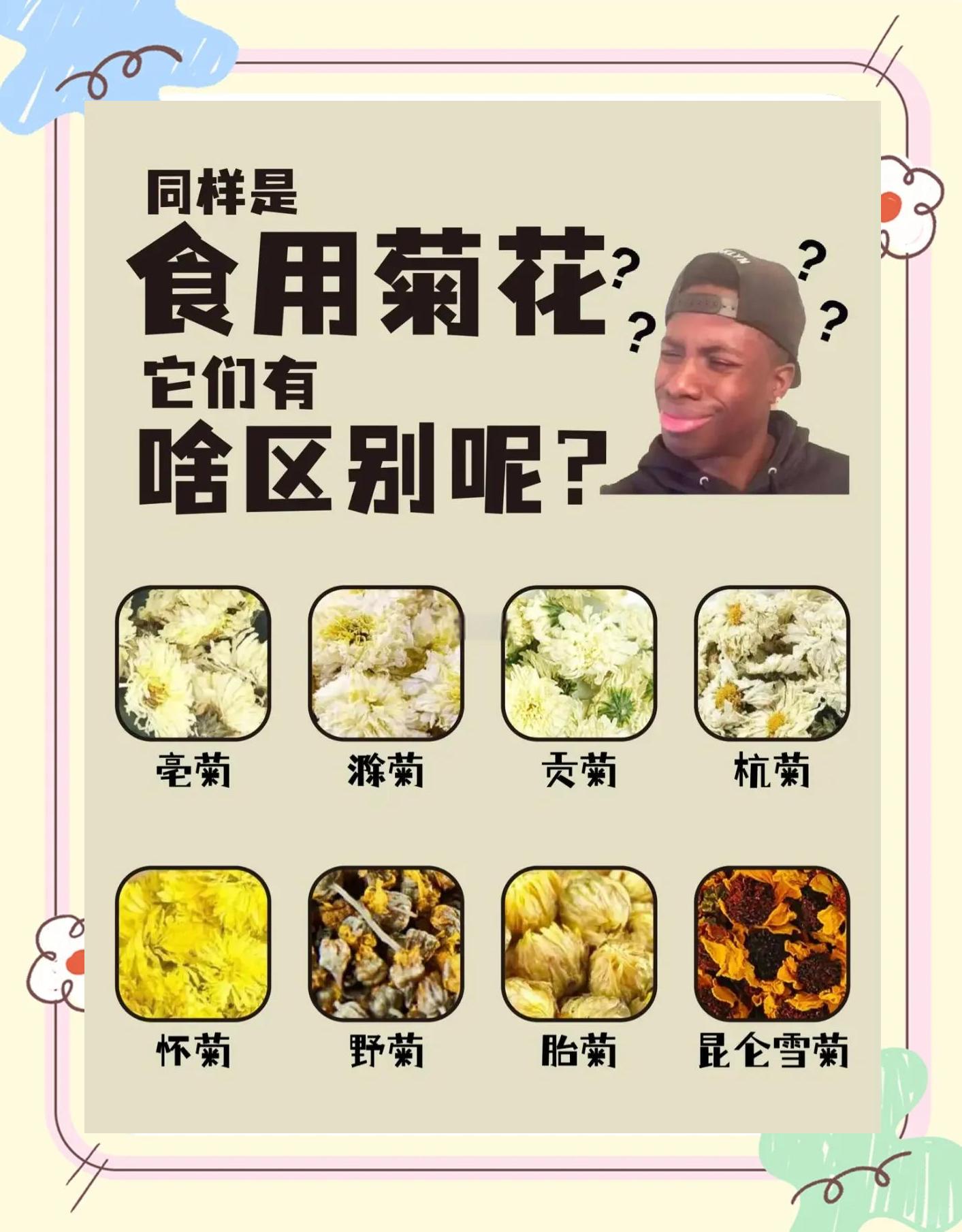 杭白菊和胎菊的区别(杭白菊和胎菊的功效与作用) 杭白菊和胎菊的区别(杭白菊和胎菊的功效与作用)