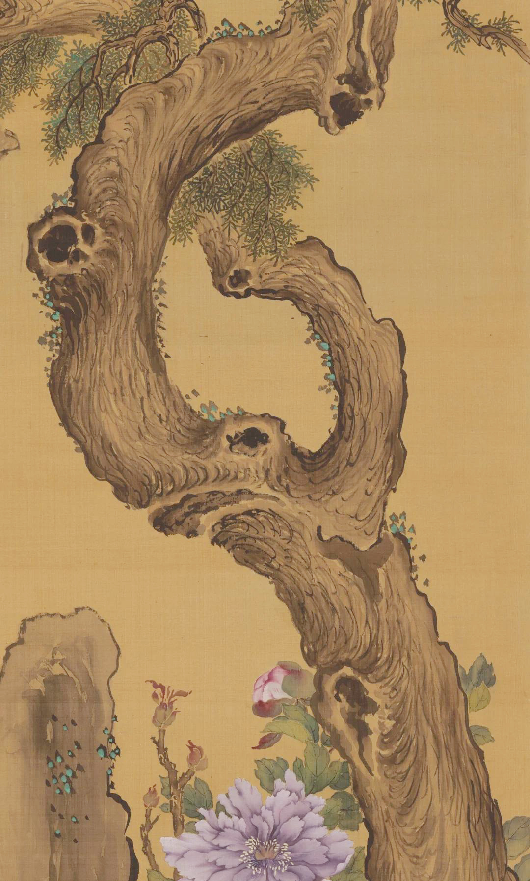 绶(绶组词) 绶(绶组词)