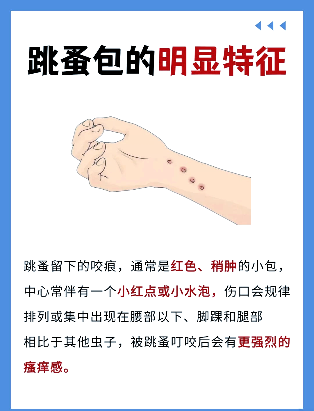 蚤的拼音(蚤的拼音字)